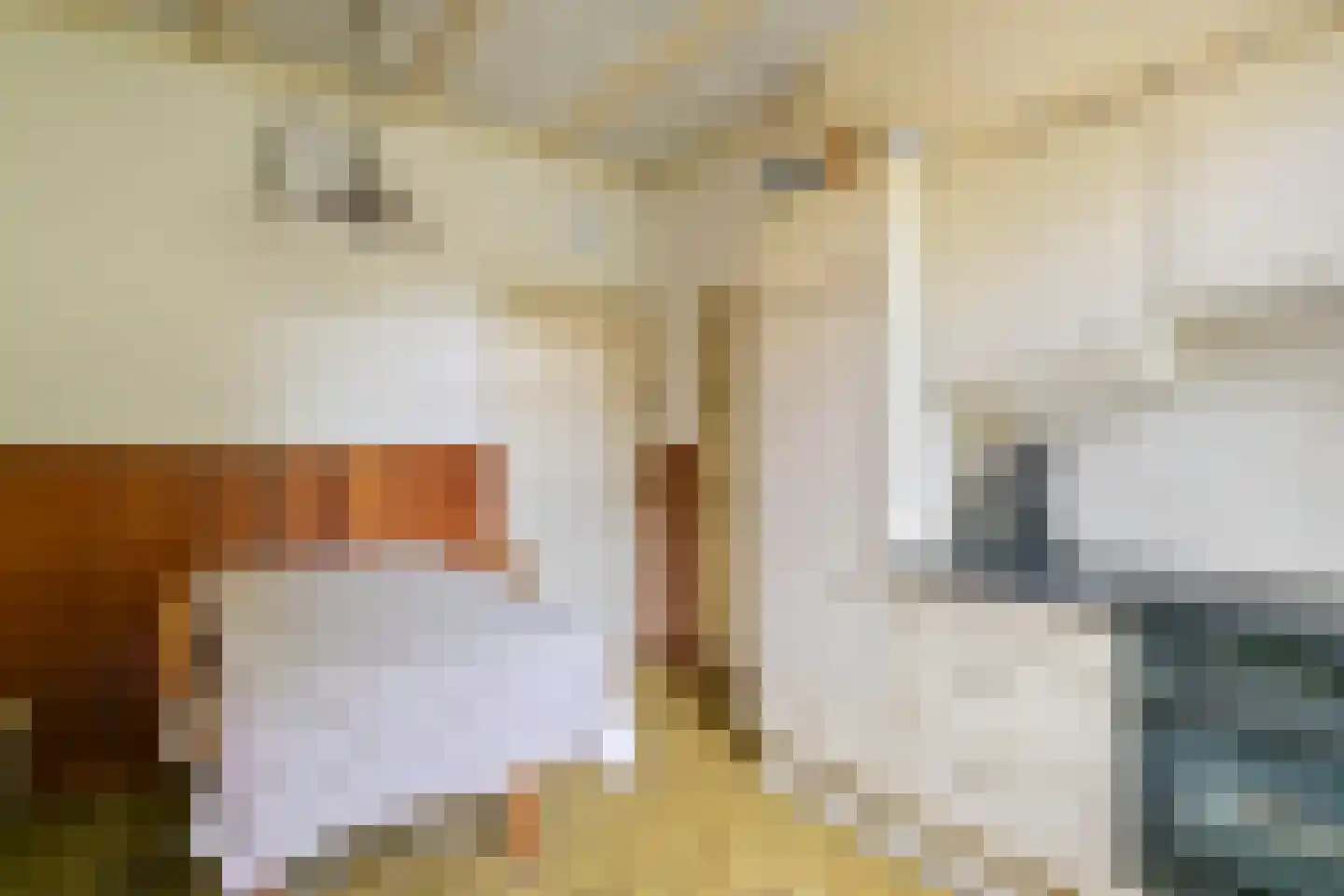 Raadhuisstraat 1 Maurik thumbnail 34