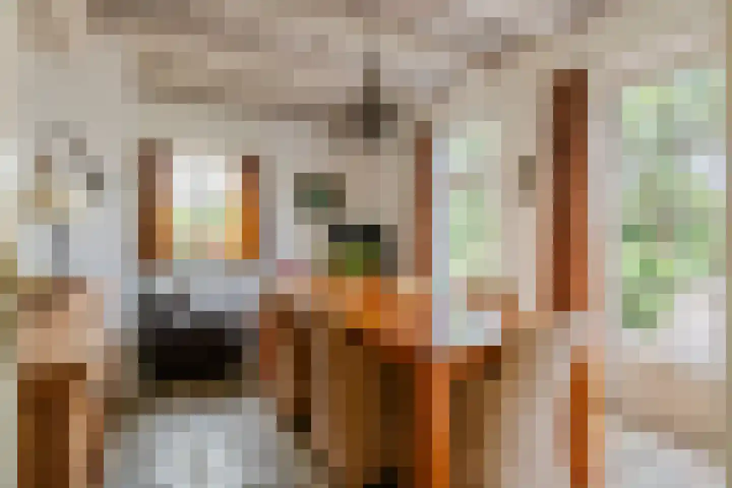 Raadhuisstraat 1 Maurik thumbnail 35