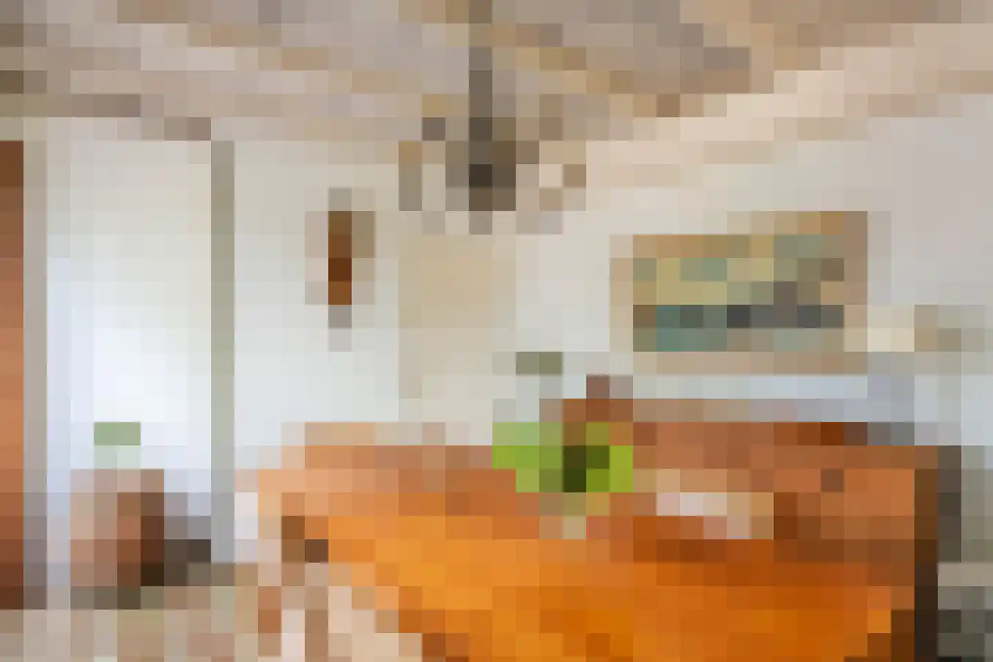 Raadhuisstraat 1 Maurik thumbnail 36