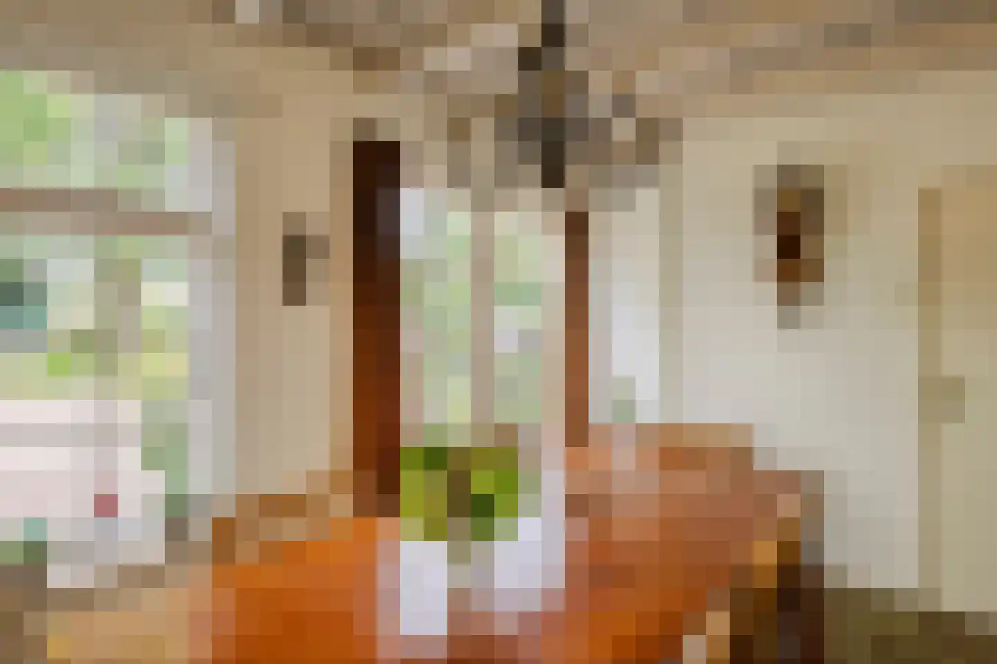 Raadhuisstraat 1 Maurik thumbnail 37
