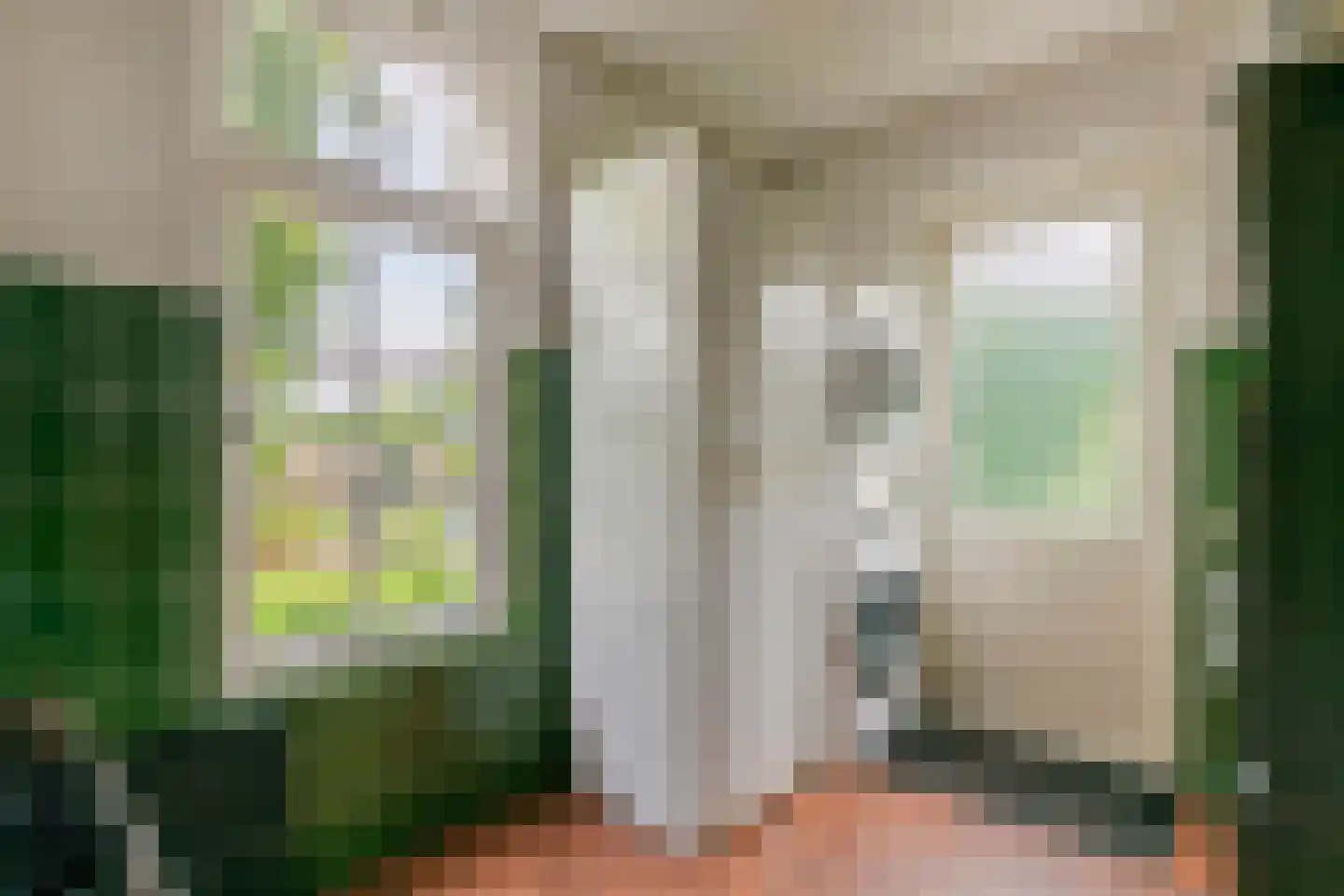 Raadhuisstraat 1 Maurik thumbnail 39