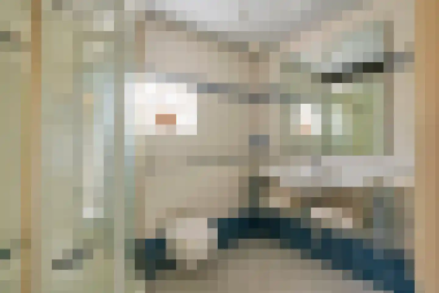 Raadhuisstraat 1 Maurik thumbnail 40