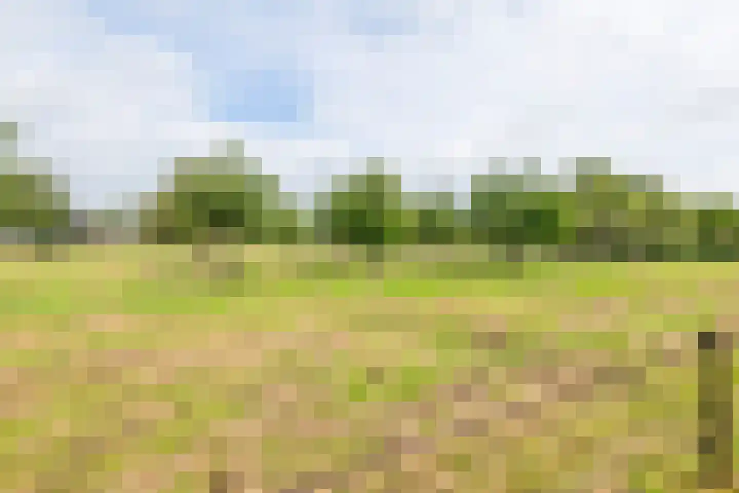 Raadhuisstraat 1 Maurik thumbnail 43