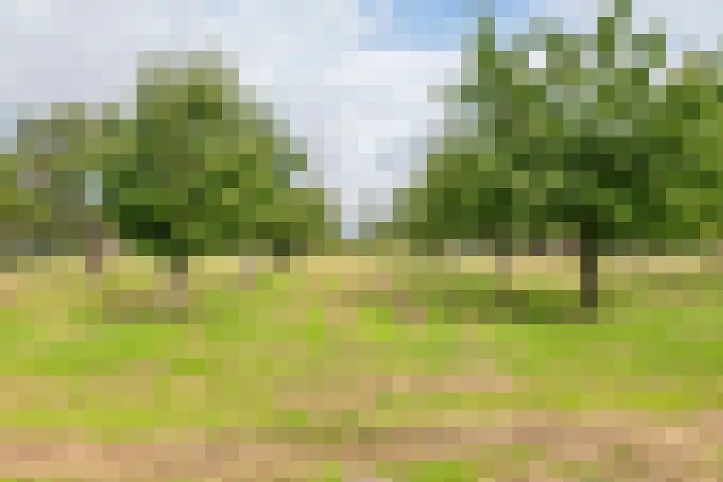 Raadhuisstraat 1 Maurik thumbnail 44