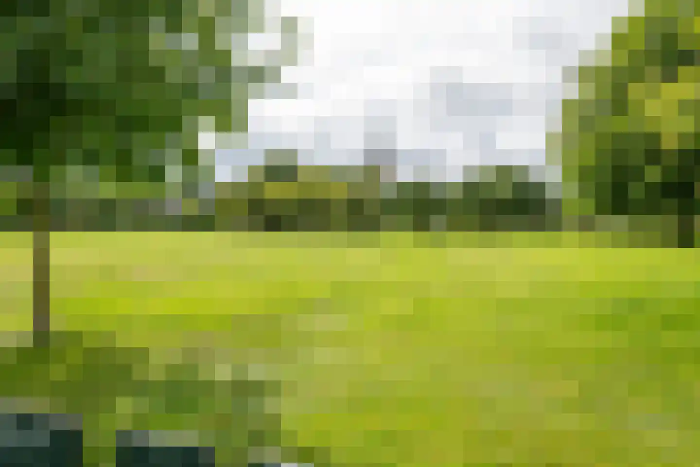 Raadhuisstraat 1 Maurik thumbnail 45