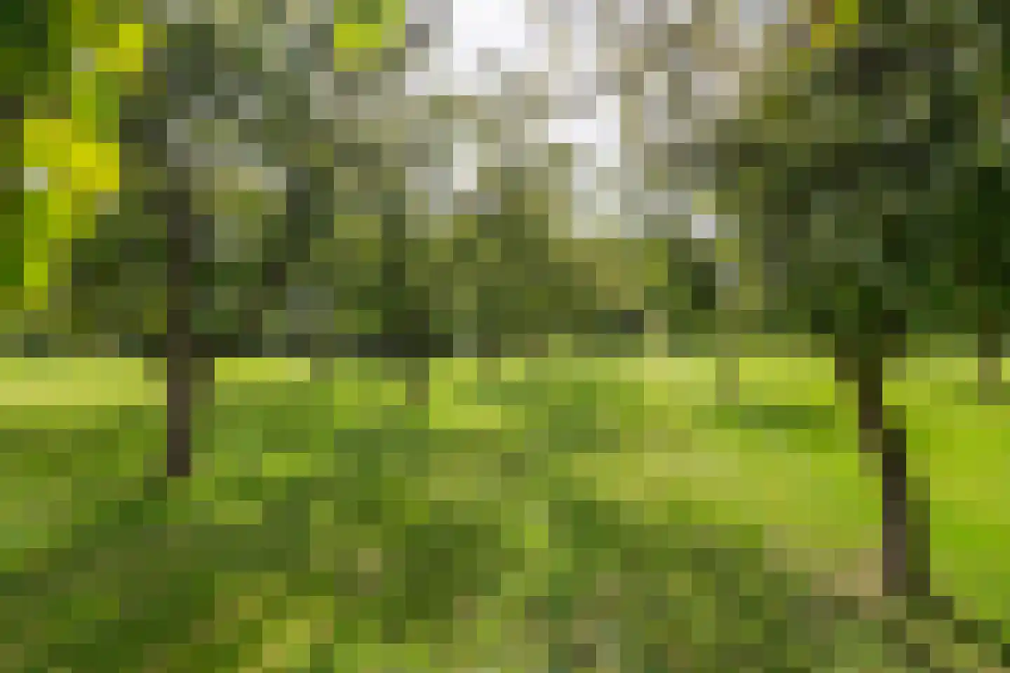 Raadhuisstraat 1 Maurik thumbnail 46