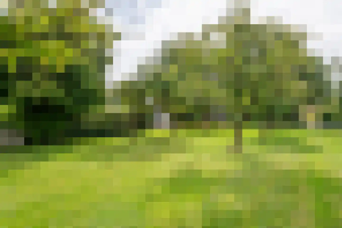 Raadhuisstraat 1 Maurik thumbnail 47