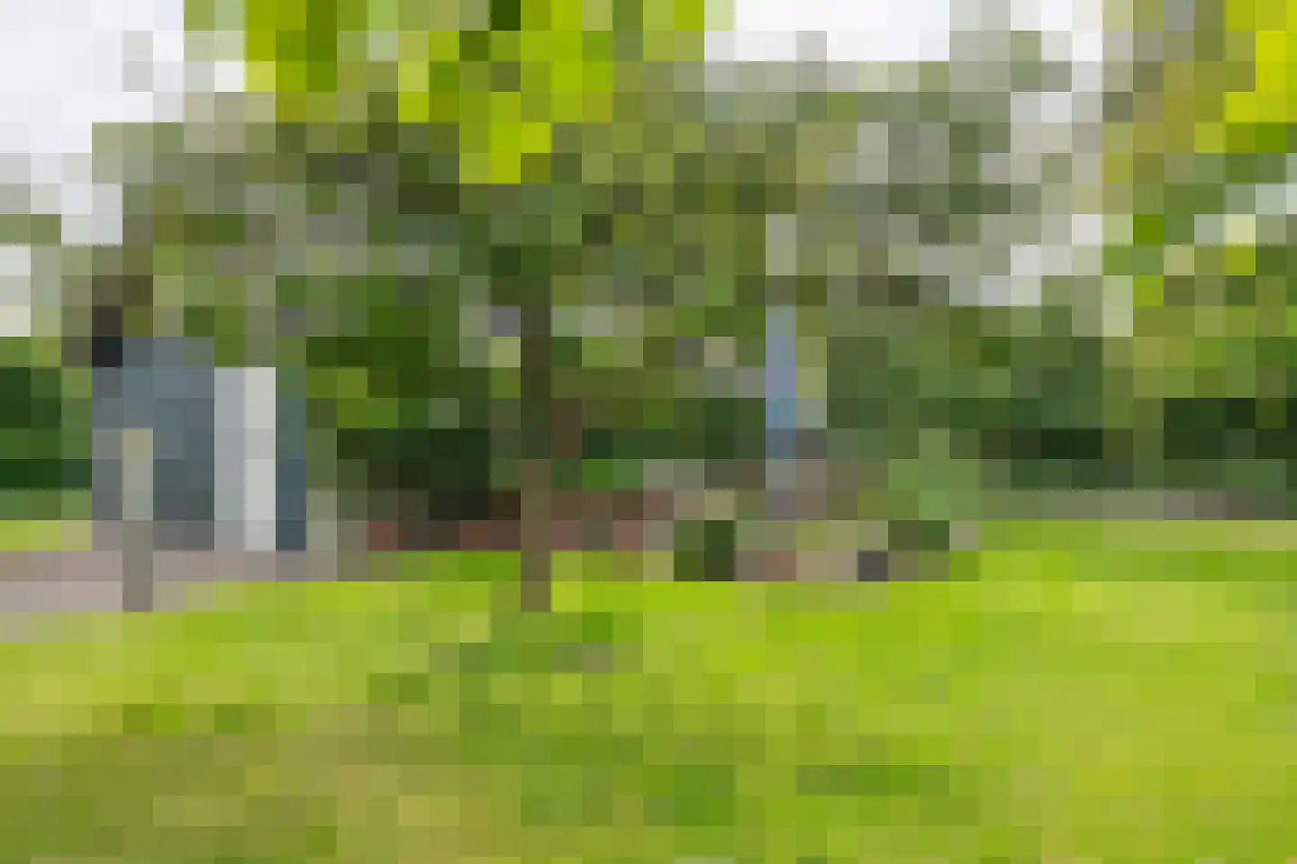 Raadhuisstraat 1 Maurik thumbnail 48