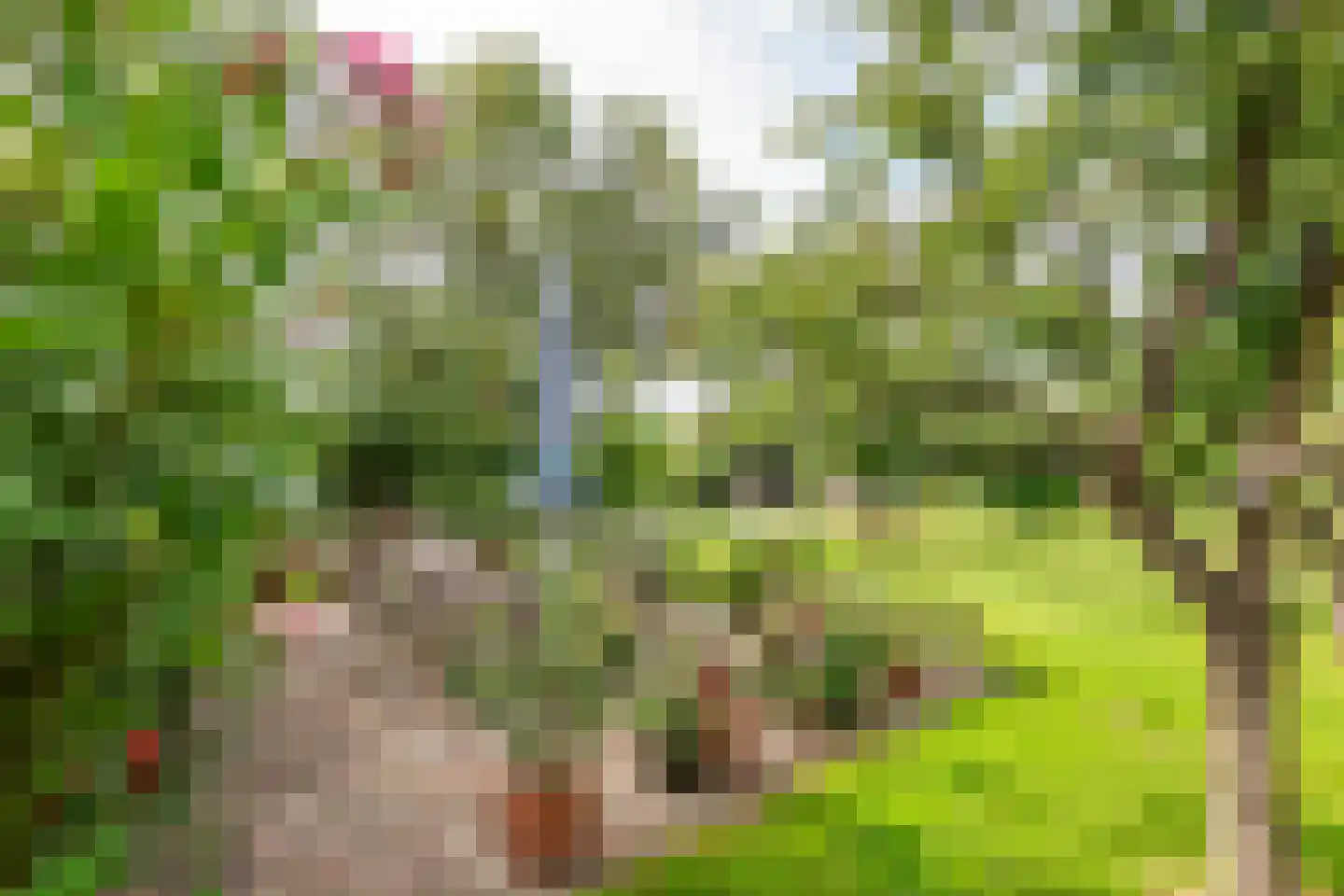 Raadhuisstraat 1 Maurik thumbnail 49