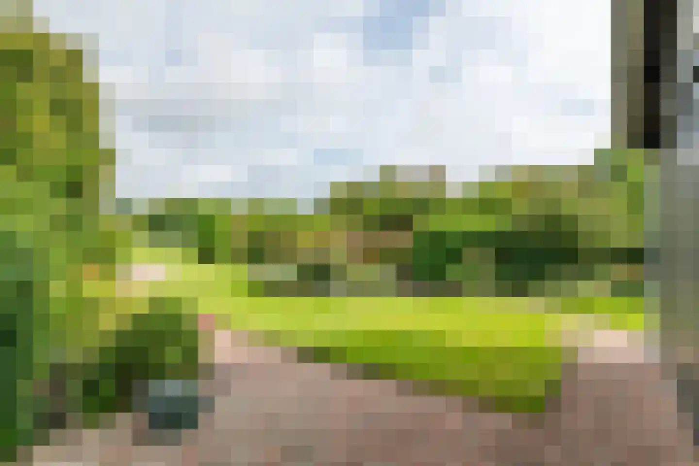Raadhuisstraat 1 Maurik thumbnail 50