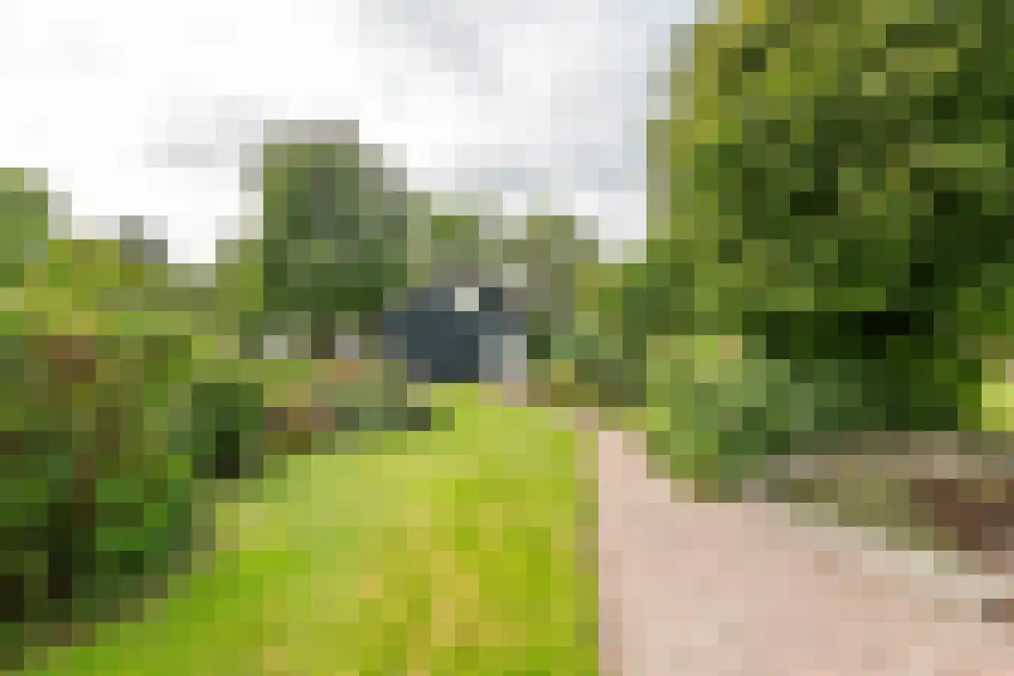 Raadhuisstraat 1 Maurik thumbnail 51