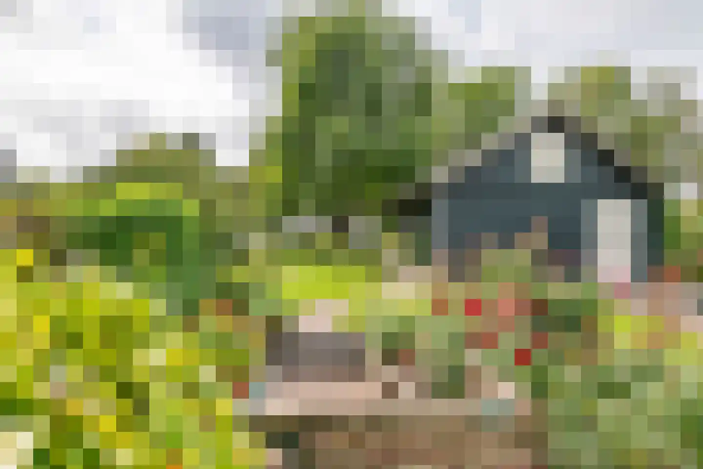 Raadhuisstraat 1 Maurik thumbnail 52