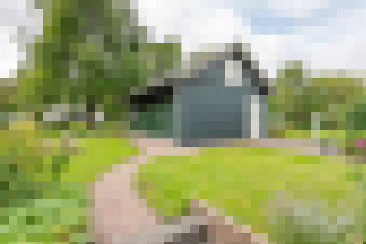 Raadhuisstraat 1 Maurik thumbnail 53