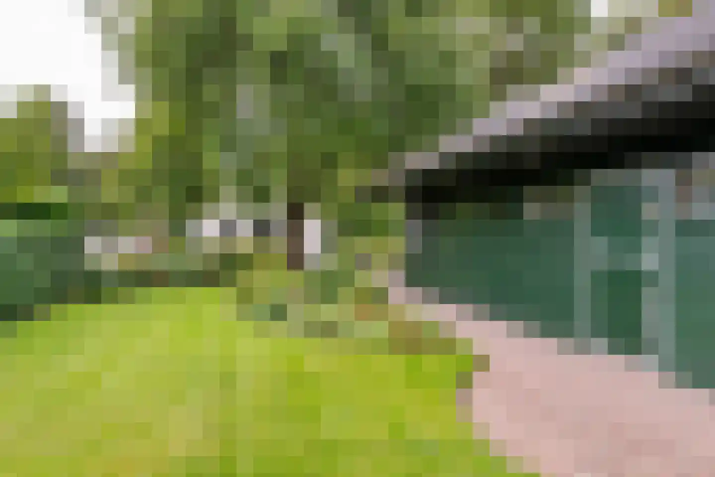 Raadhuisstraat 1 Maurik thumbnail 54