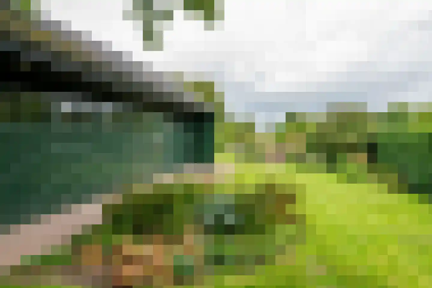 Raadhuisstraat 1 Maurik thumbnail 55