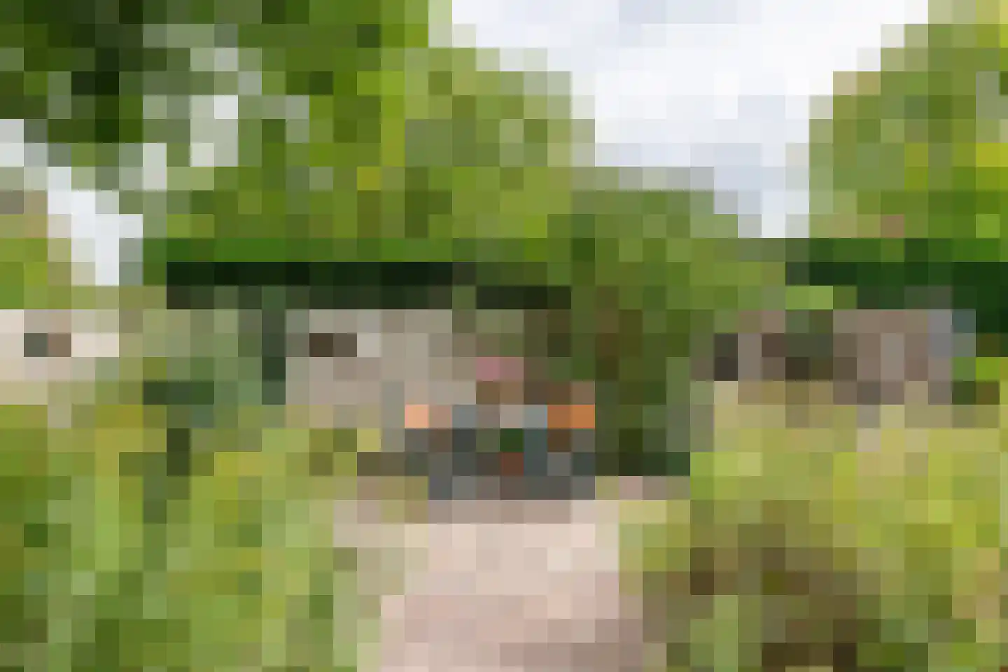 Raadhuisstraat 1 Maurik thumbnail 56