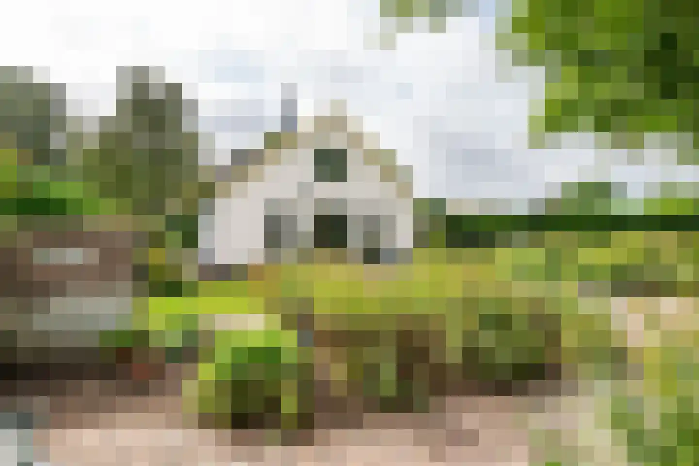 Raadhuisstraat 1 Maurik thumbnail 57