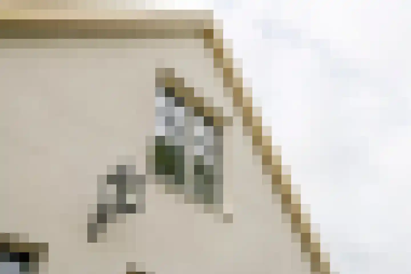 Raadhuisstraat 1 Maurik thumbnail 58