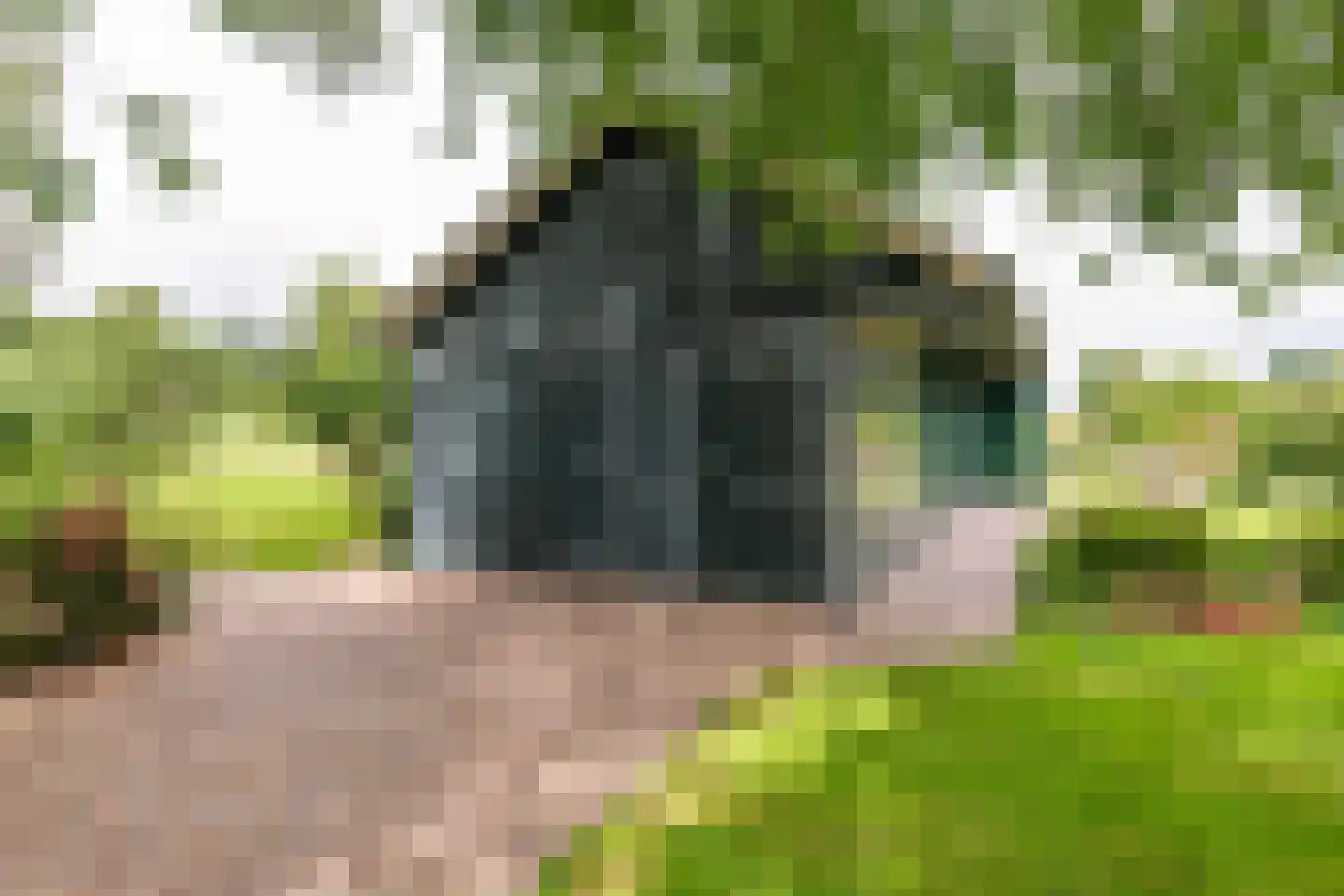 Raadhuisstraat 1 Maurik thumbnail 59
