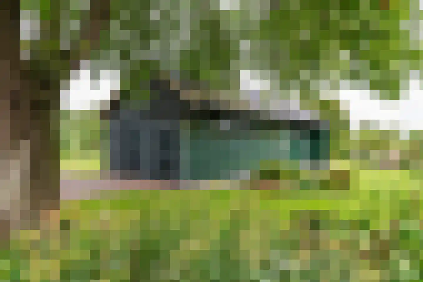 Raadhuisstraat 1 Maurik thumbnail 6