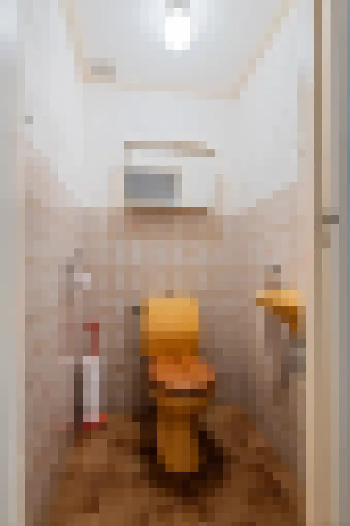 Raadhuisstraat 1 Maurik thumbnail 63