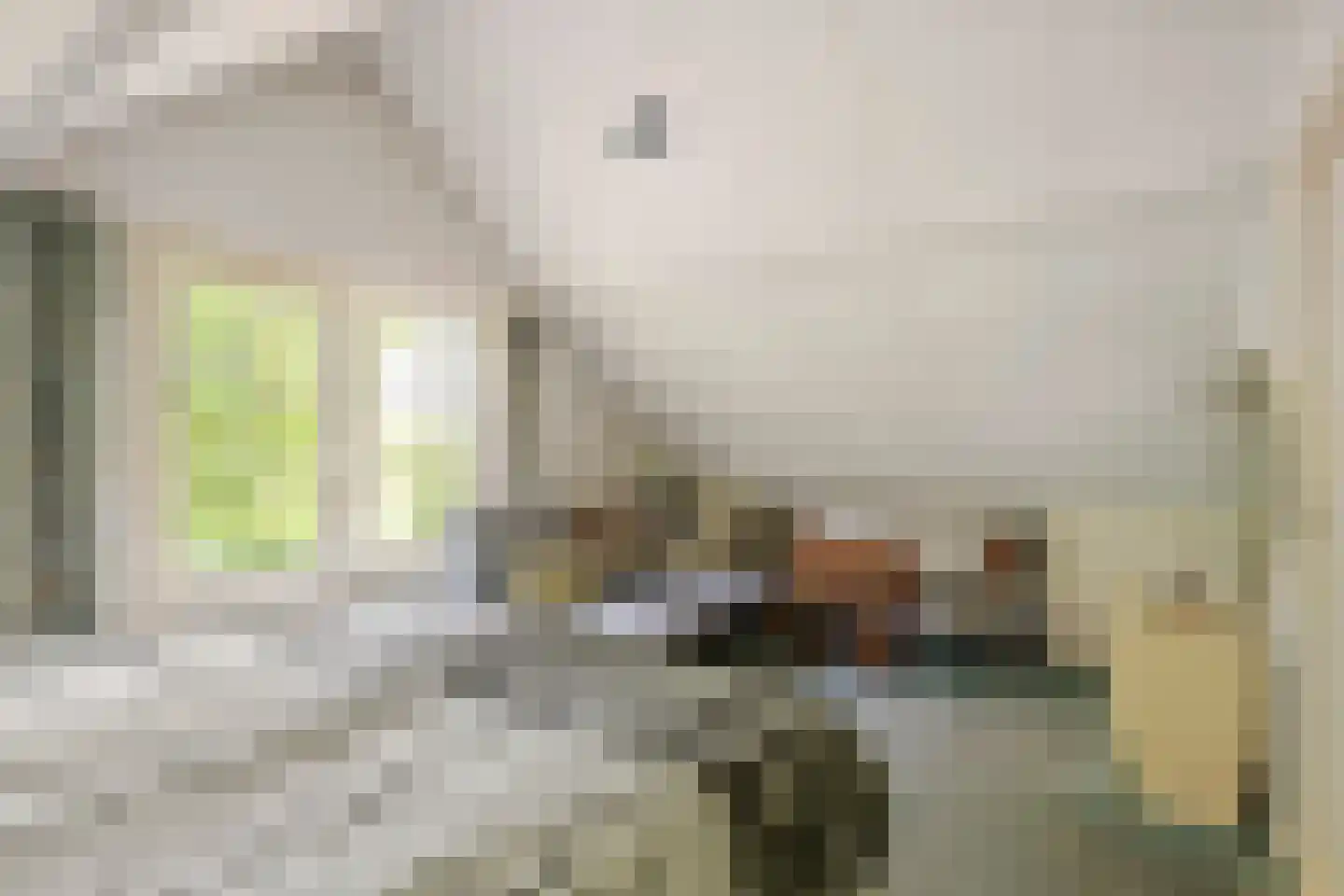 Raadhuisstraat 1 Maurik thumbnail 66