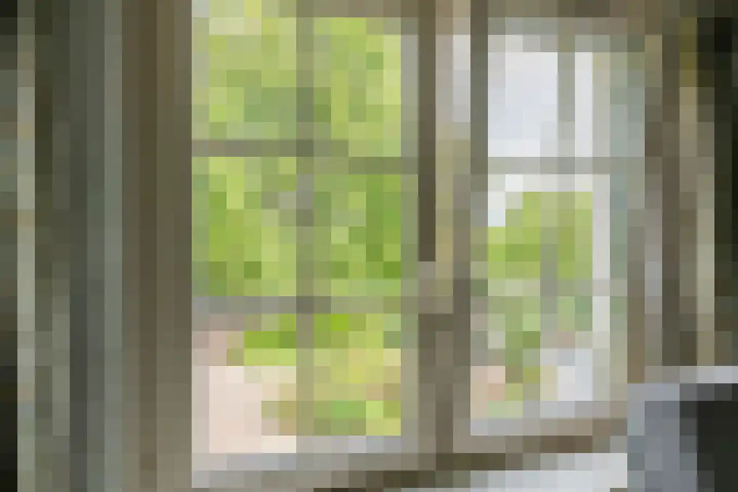 Raadhuisstraat 1 Maurik thumbnail 68
