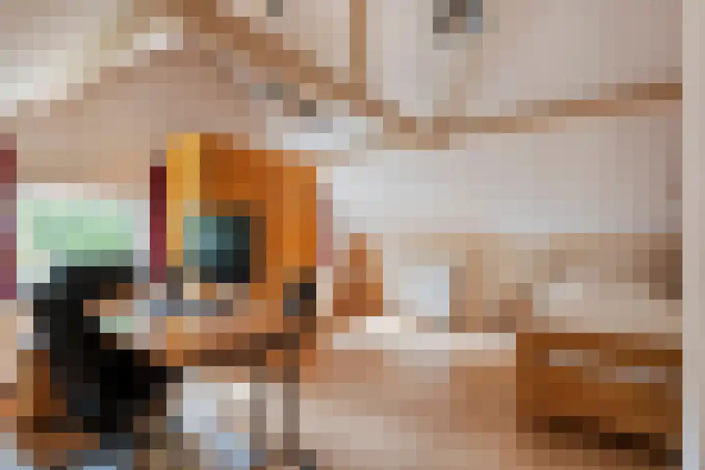 Raadhuisstraat 1 Maurik thumbnail 69