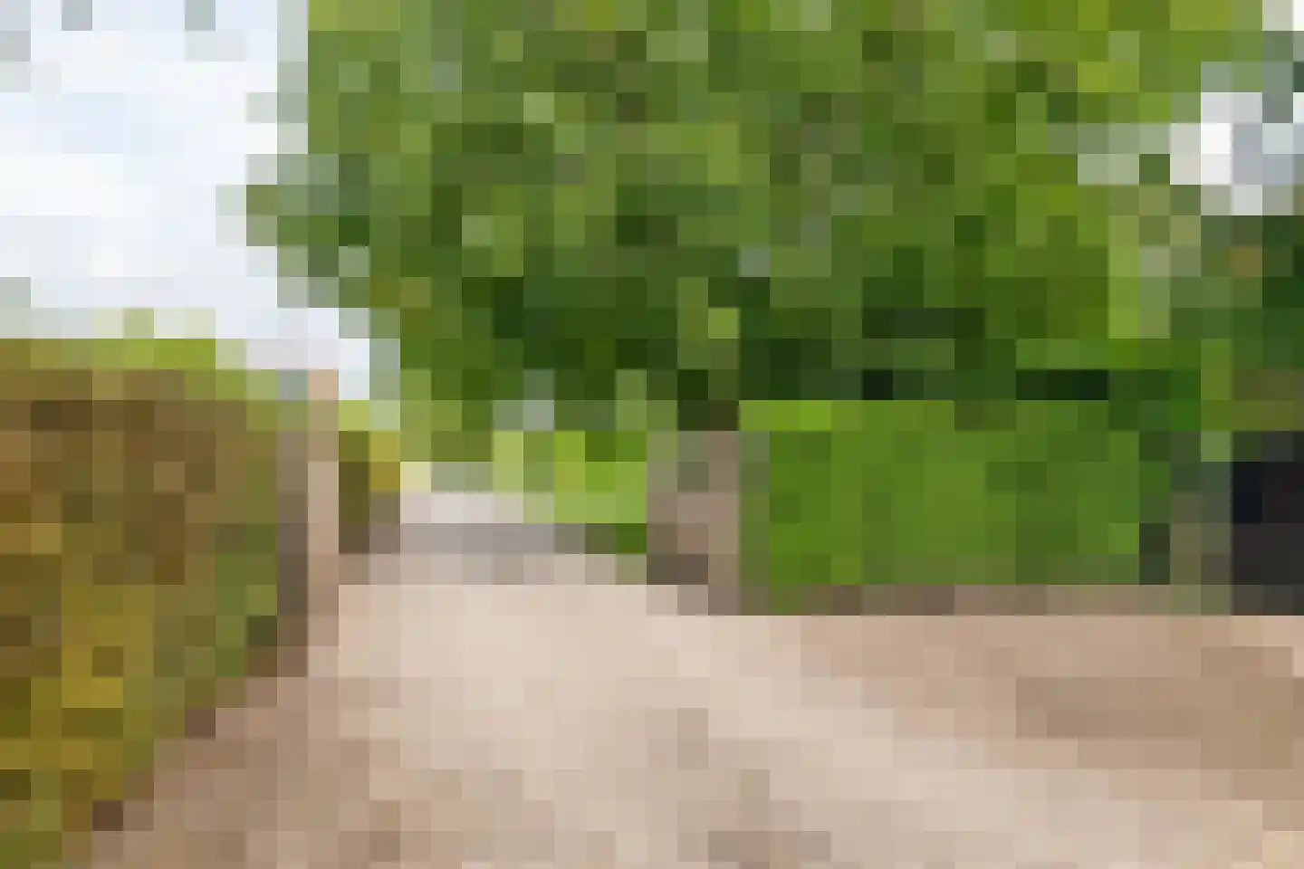 Raadhuisstraat 1 Maurik thumbnail 7
