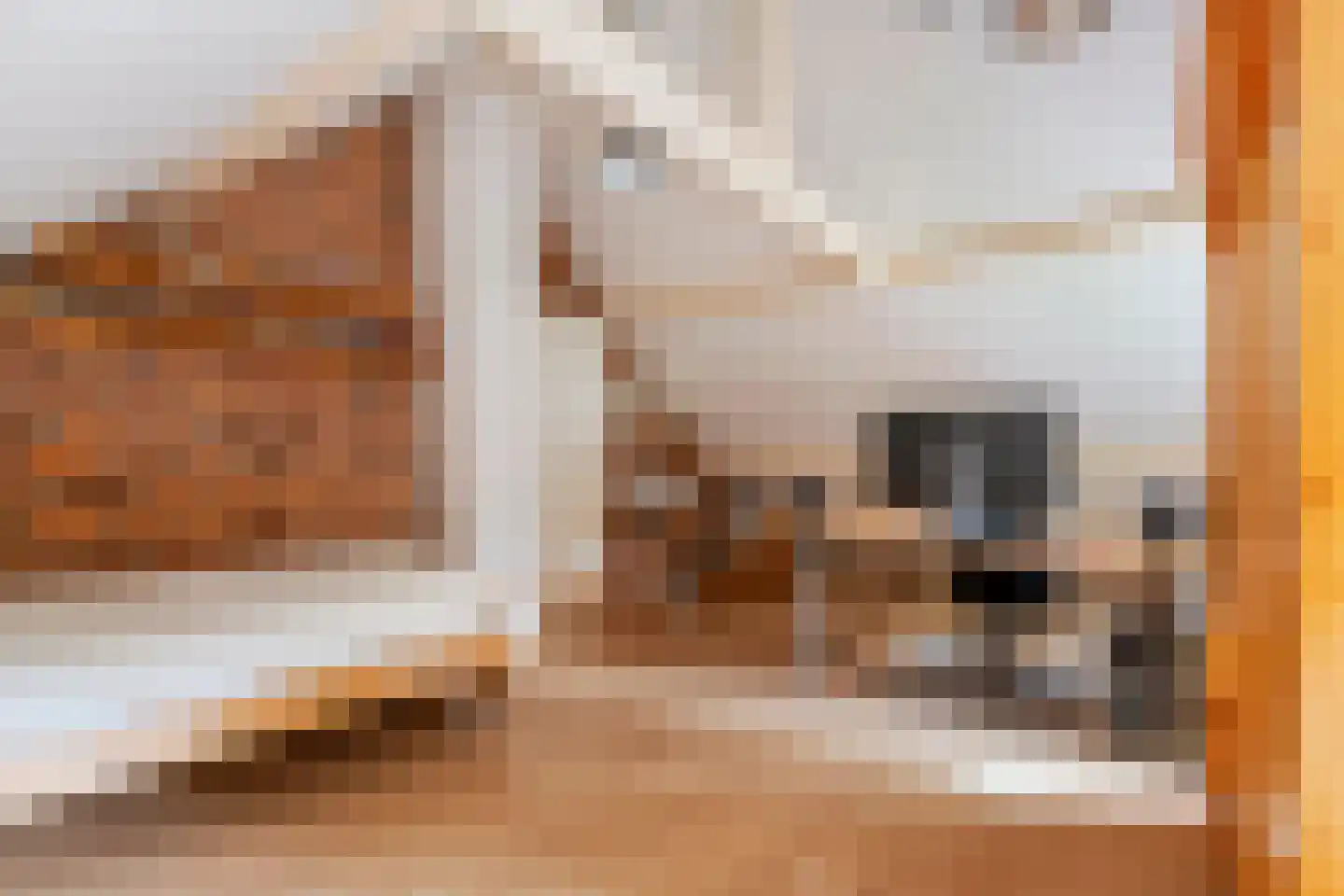 Raadhuisstraat 1 Maurik thumbnail 70