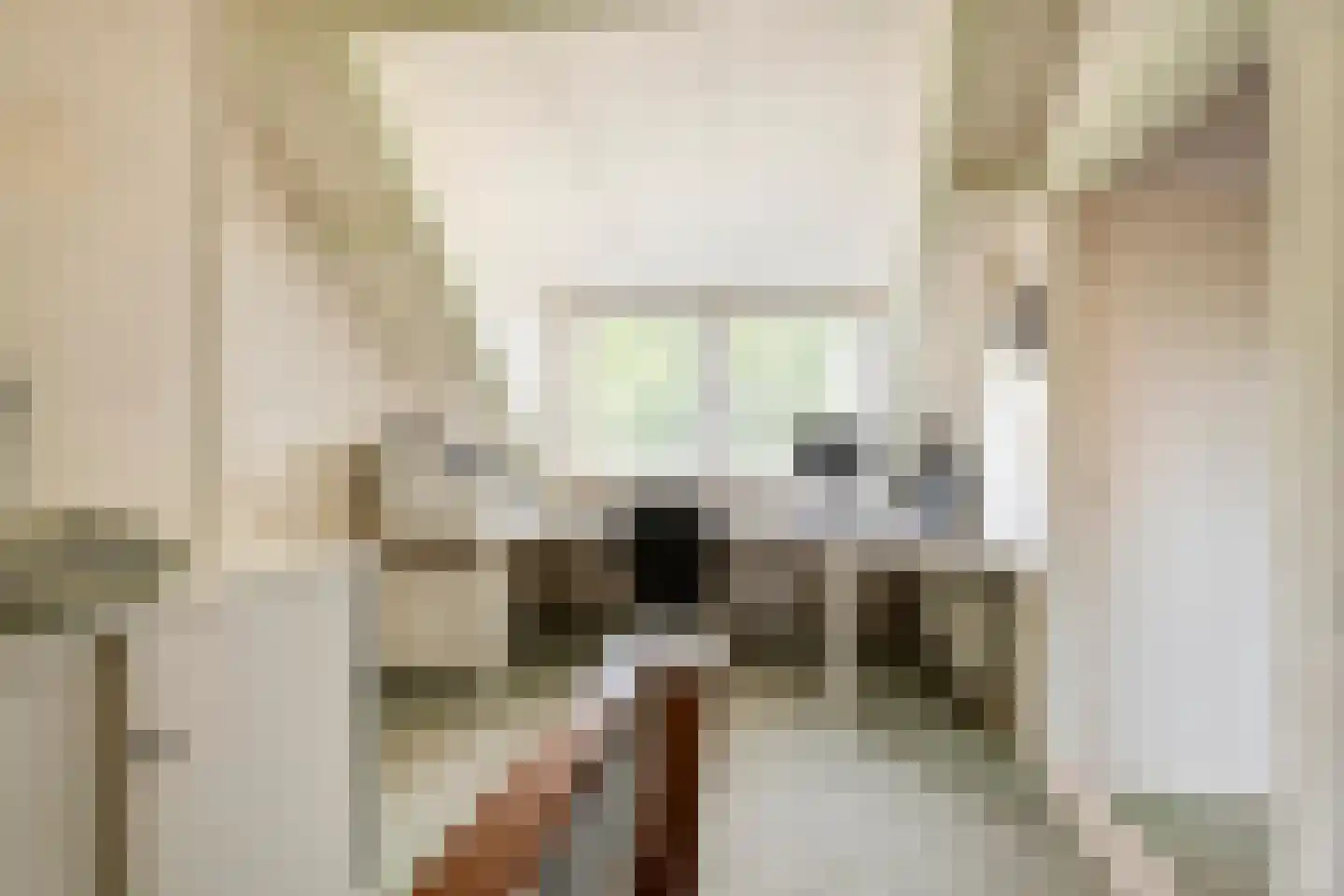 Raadhuisstraat 1 Maurik thumbnail 72