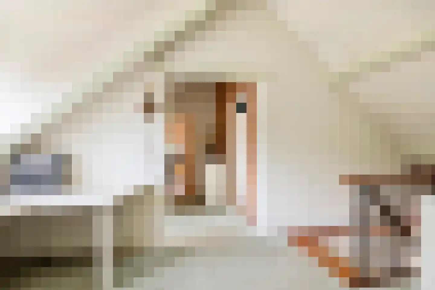 Raadhuisstraat 1 Maurik thumbnail 73