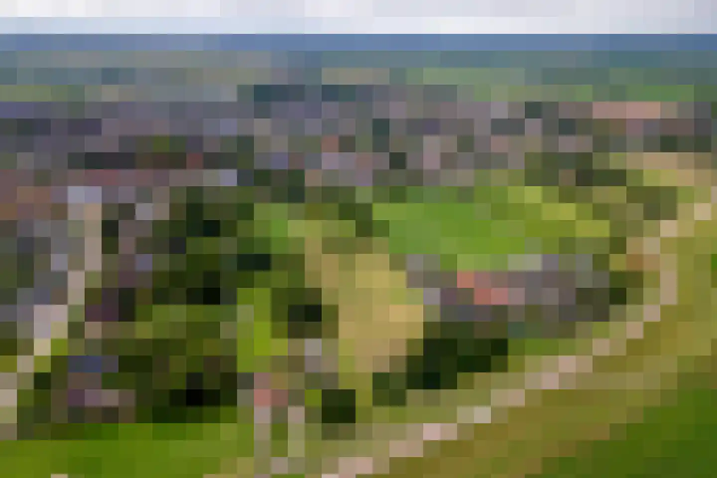 Raadhuisstraat 1 Maurik thumbnail 76