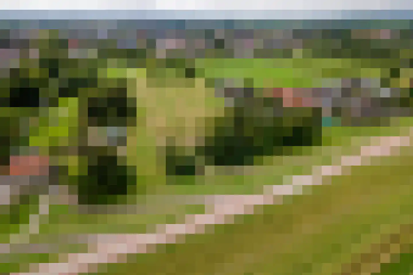 Raadhuisstraat 1 Maurik thumbnail 77