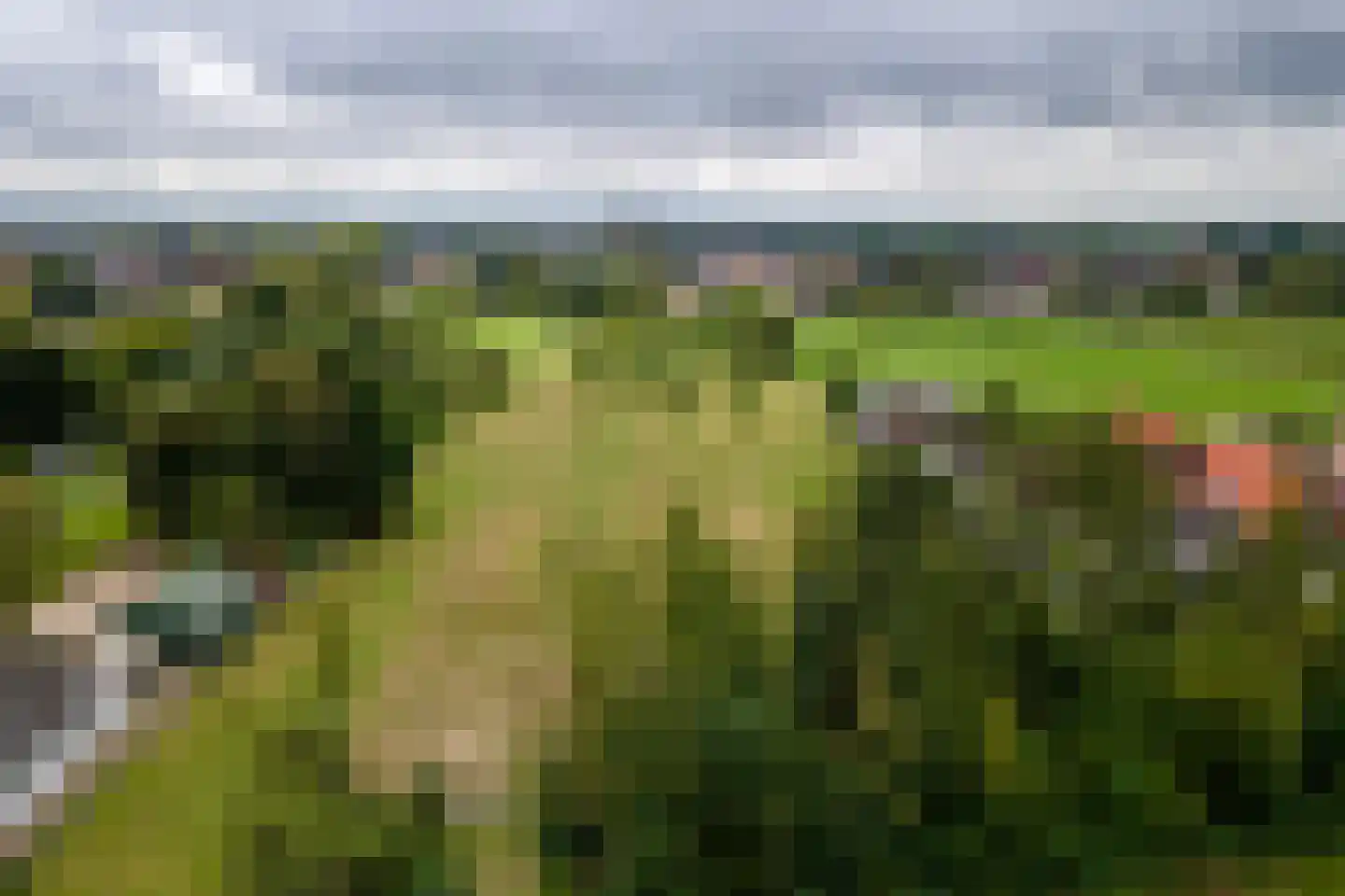 Raadhuisstraat 1 Maurik thumbnail 78