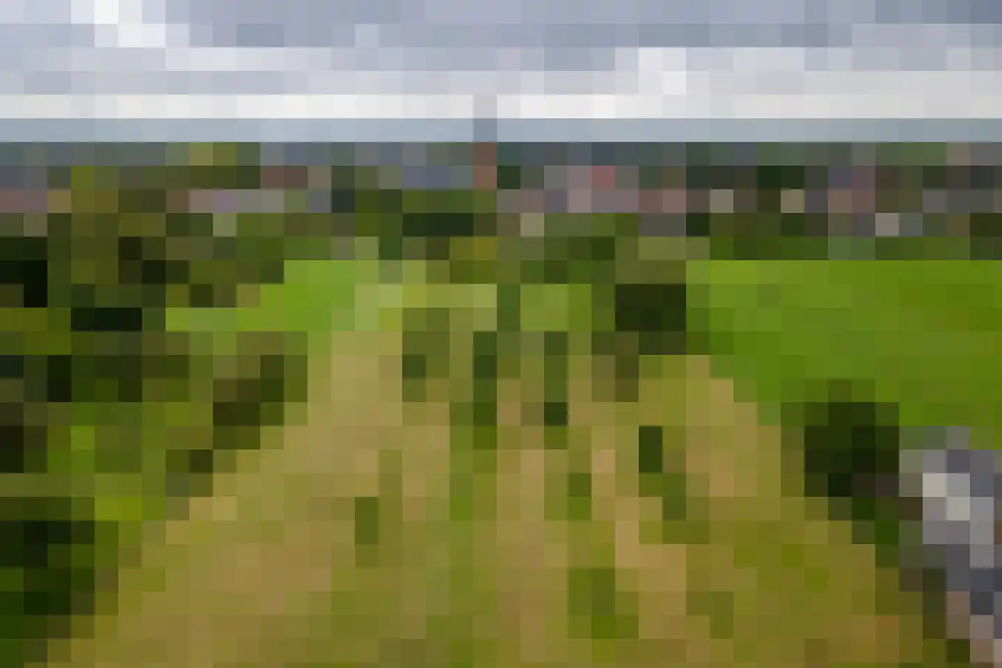 Raadhuisstraat 1 Maurik thumbnail 79