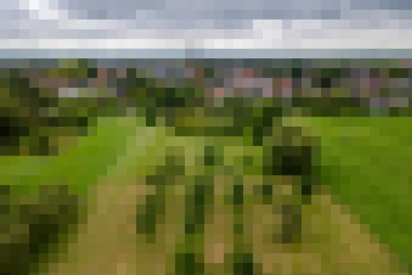 Raadhuisstraat 1 Maurik thumbnail 80