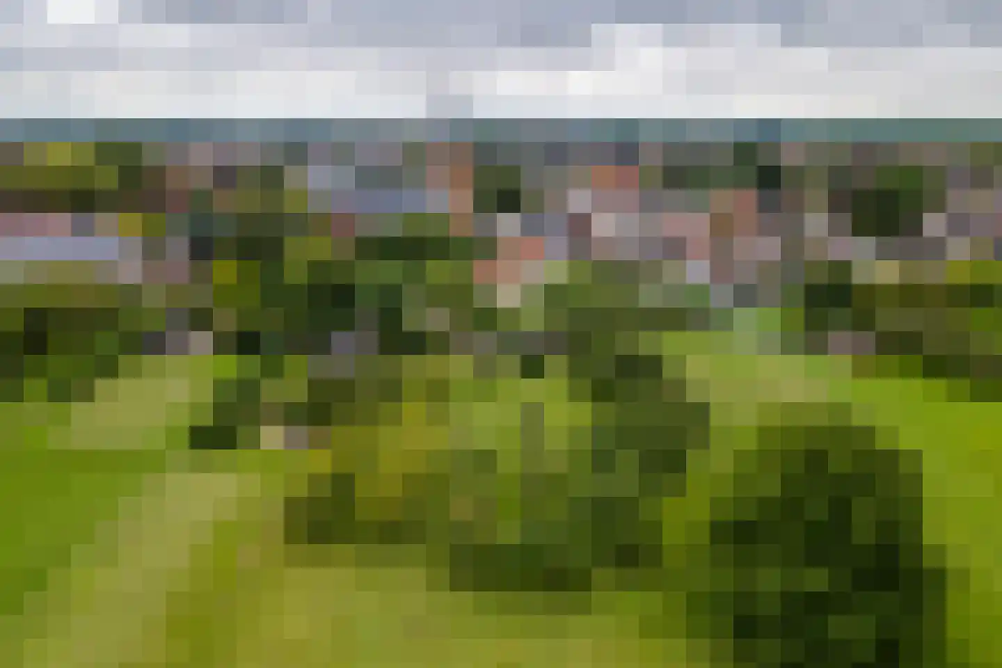 Raadhuisstraat 1 Maurik thumbnail 81