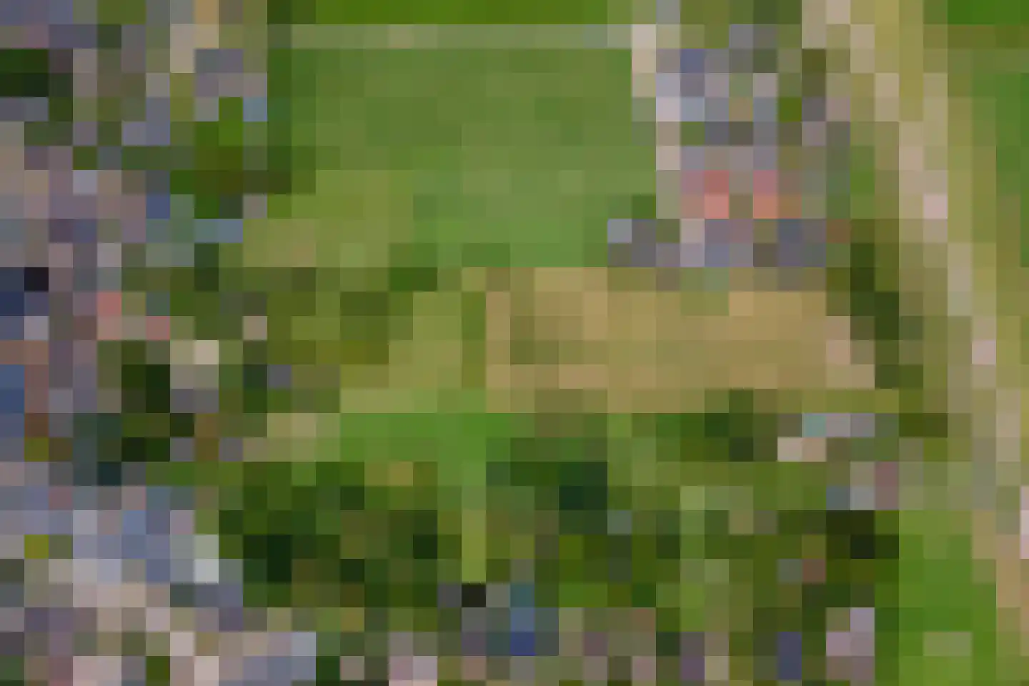 Raadhuisstraat 1 Maurik thumbnail 82