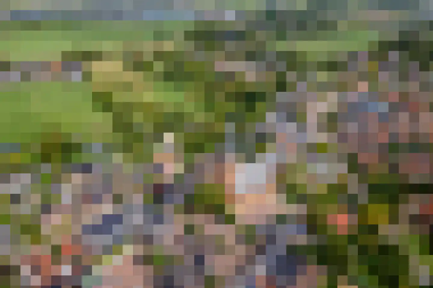 Raadhuisstraat 1 Maurik thumbnail 84