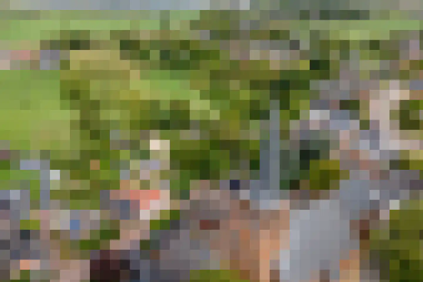 Raadhuisstraat 1 Maurik thumbnail 85