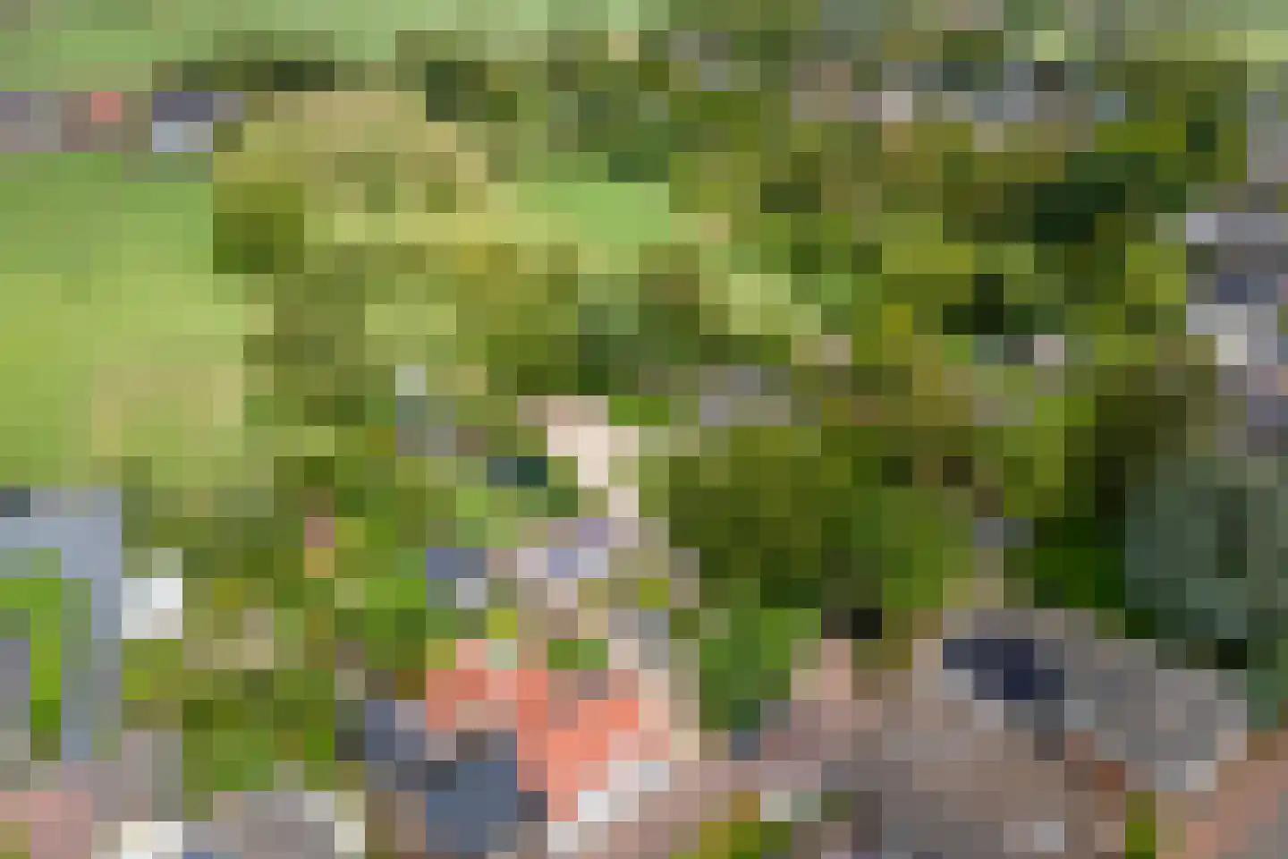 Raadhuisstraat 1 Maurik thumbnail 86