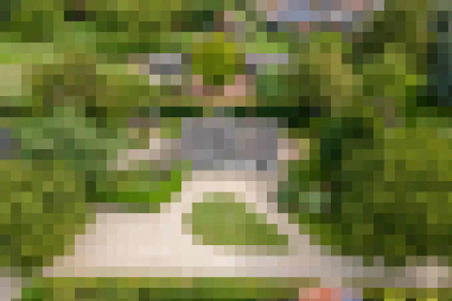 Raadhuisstraat 1 Maurik thumbnail 89
