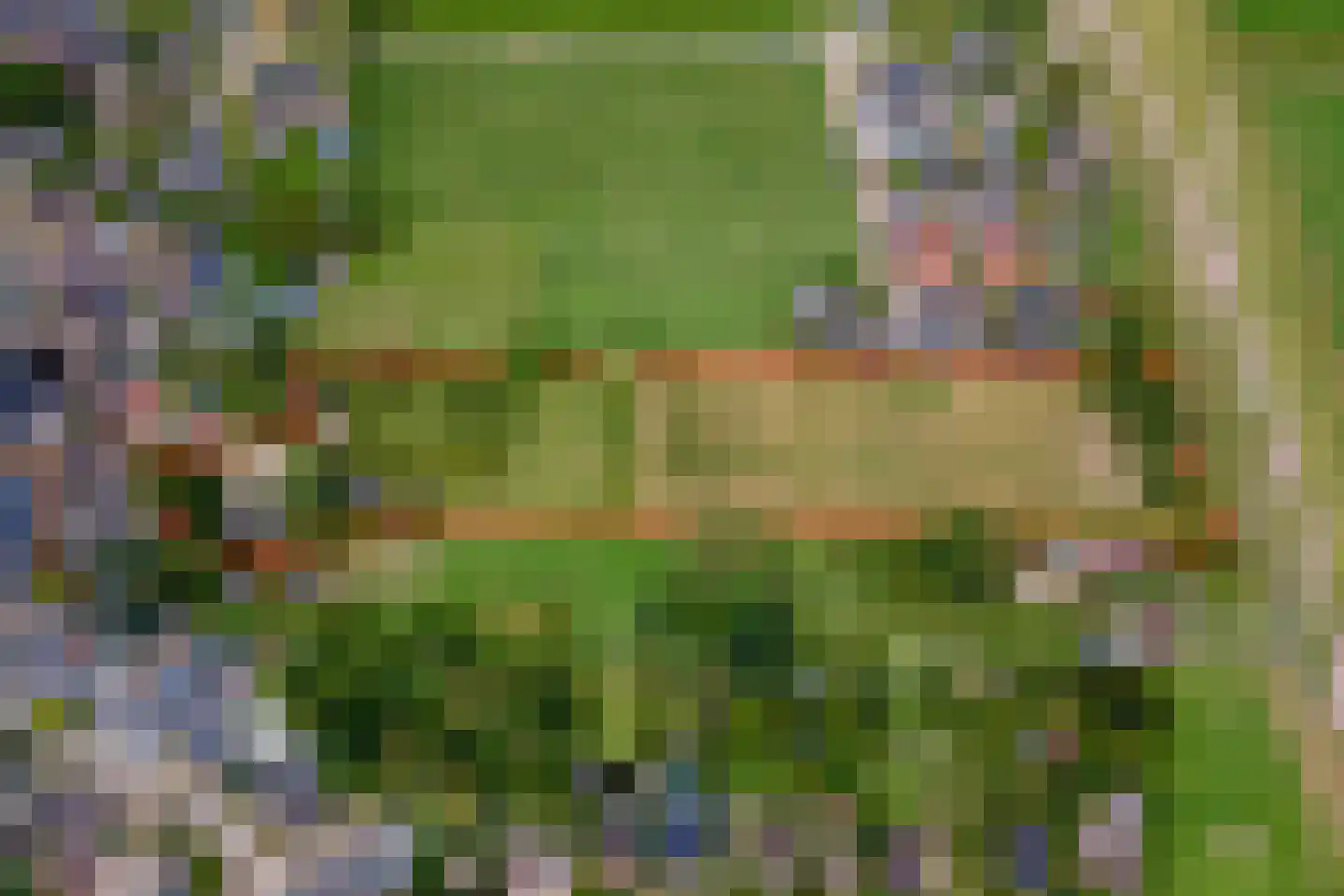 Raadhuisstraat 1 Maurik thumbnail 93
