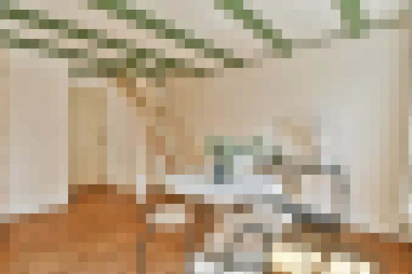 Raadhuisstraat 10 1 Amsterdam thumbnail 17