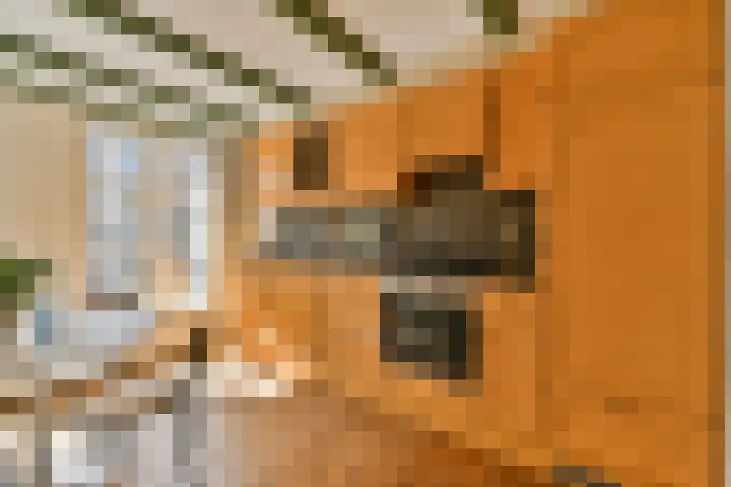 Raadhuisstraat 10 1 Amsterdam thumbnail 18