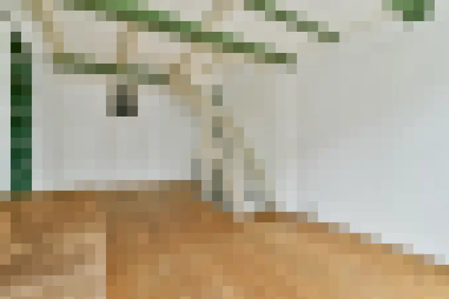 Raadhuisstraat 10 1 Amsterdam thumbnail 5