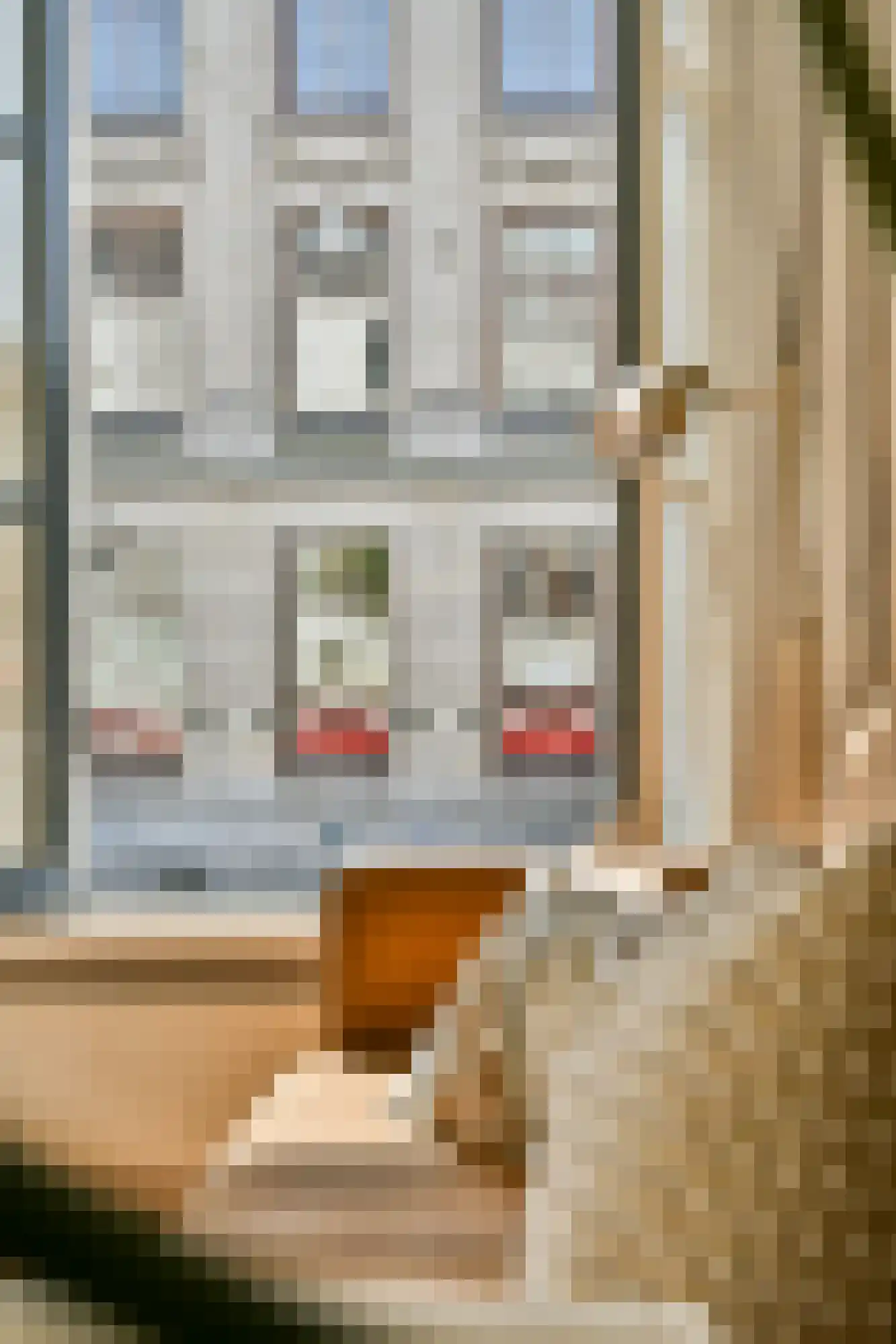 Raadhuisstraat 10 1 Amsterdam thumbnail 8