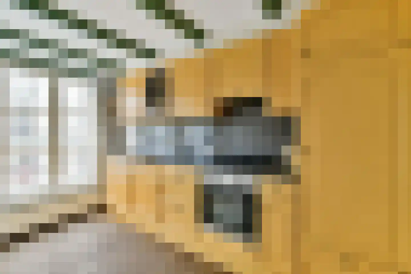 Raadhuisstraat 10 1 Amsterdam thumbnail 8