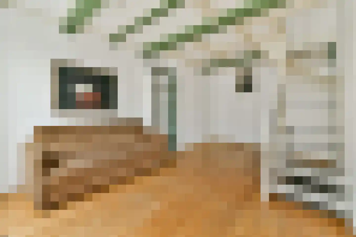 Raadhuisstraat 10 H Amsterdam thumbnail 4